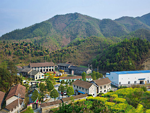 热烈祝贺华体会在线登录正式上线！